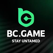 Exploring BC.Game Miner A Comprehensive Guide to Cryptocurrency Mining